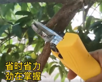 蘭龍鋰電修枝剪新品上市！果農(nóng)修整、嫁接的好幫手！